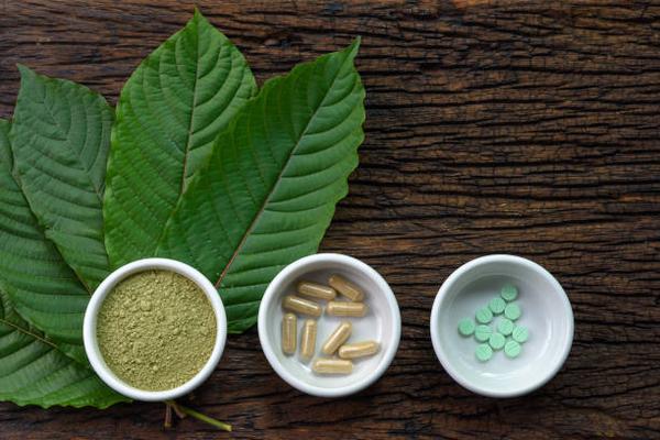 Kratom and the Quest for Balance An In-Depth Look at Its Role in Modern Health