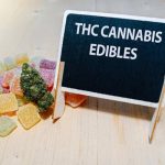 HHC Gummies The New Trend in Edibles